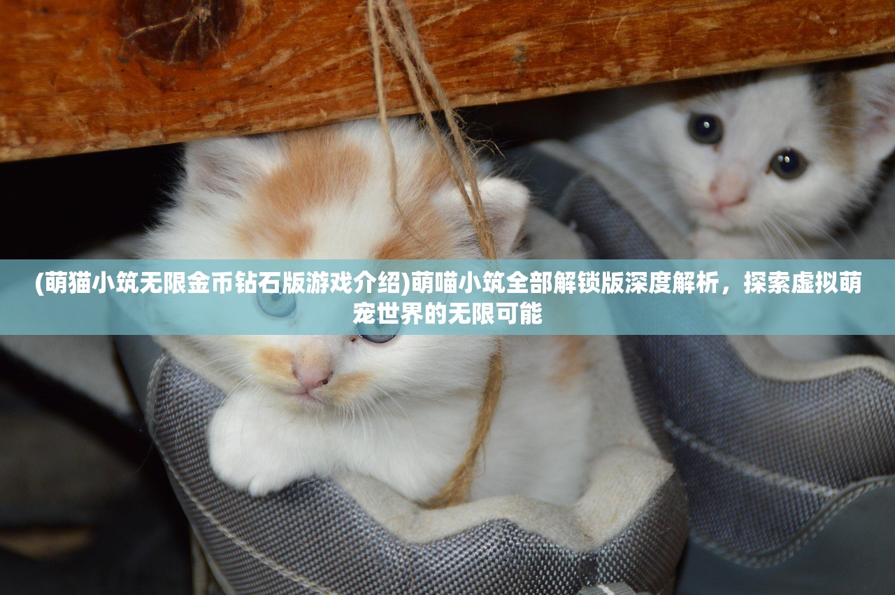 (萌猫小筑无限金币钻石版游戏介绍)萌喵小筑全部解锁版深度解析，探索虚拟萌宠世界的无限可能