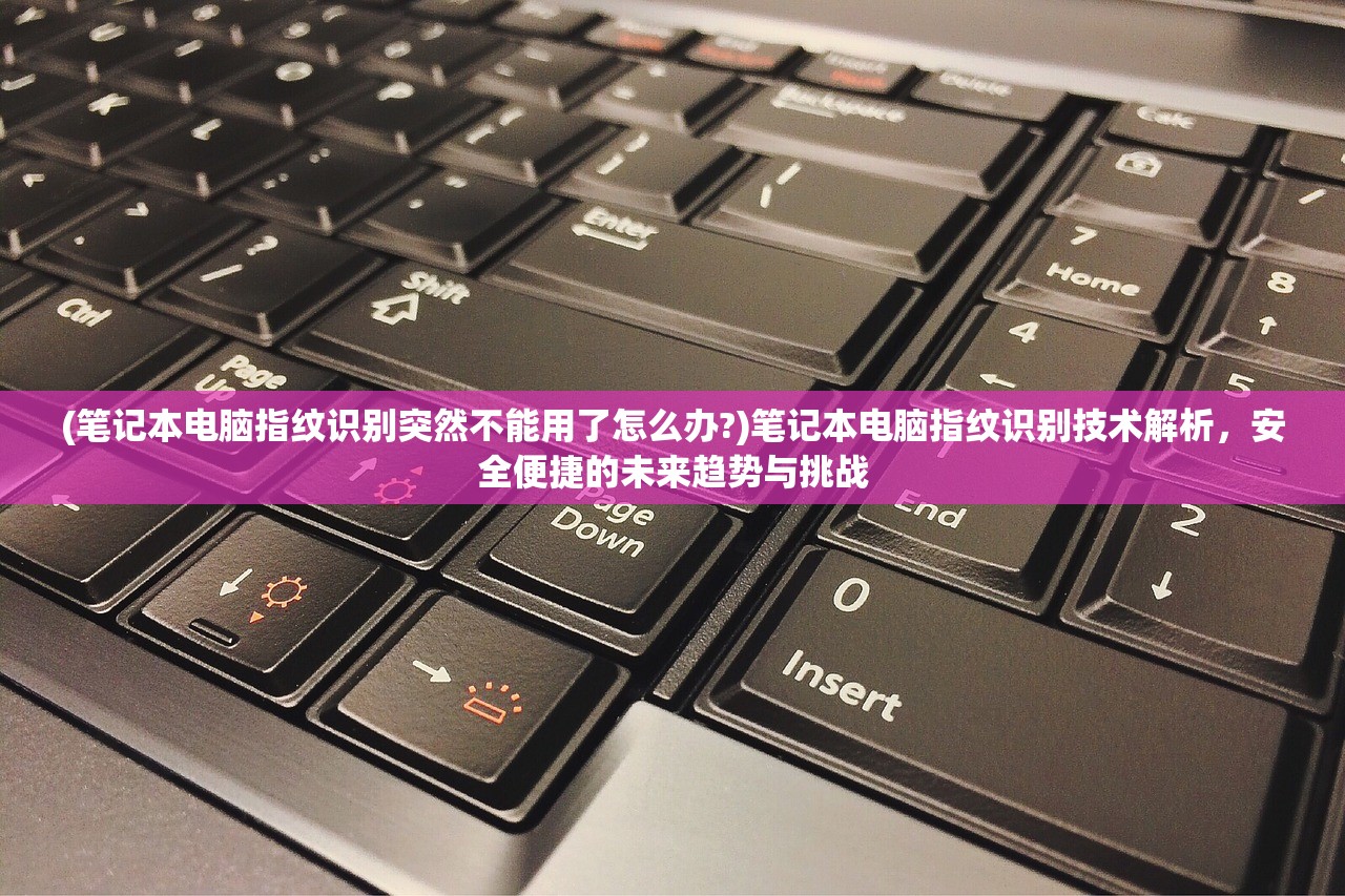 (笔记本电脑指纹识别突然不能用了怎么办?)笔记本电脑指纹识别技术解析，安全便捷的未来趋势与挑战